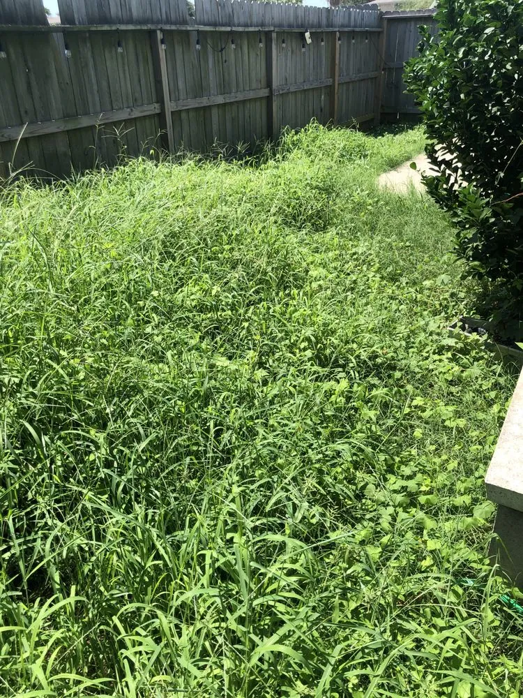 Reliable garden landscaping in Galveston, TX - Mow Me Down Lawn Service