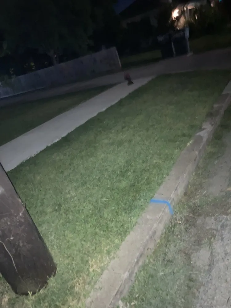 Local residential landscaping experts serving Galveston, TX - Mow Me Down Lawn Service