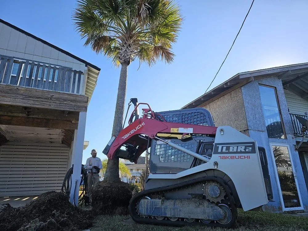 Professional landscape installation in Conway, SC - Mow-Mentum Lawn Care Services