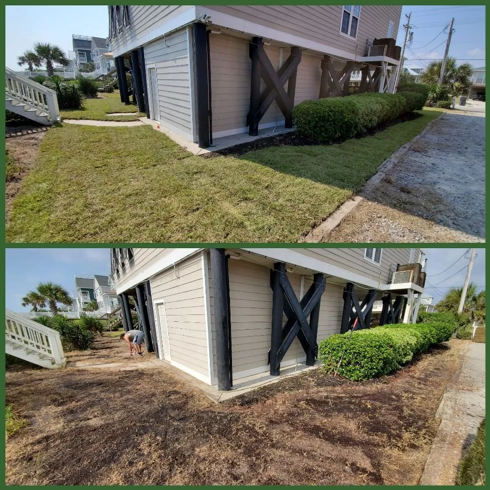 Trusted landscape installation for residential properties in Conway, SC by Mow-Mentum Lawn Care Services
