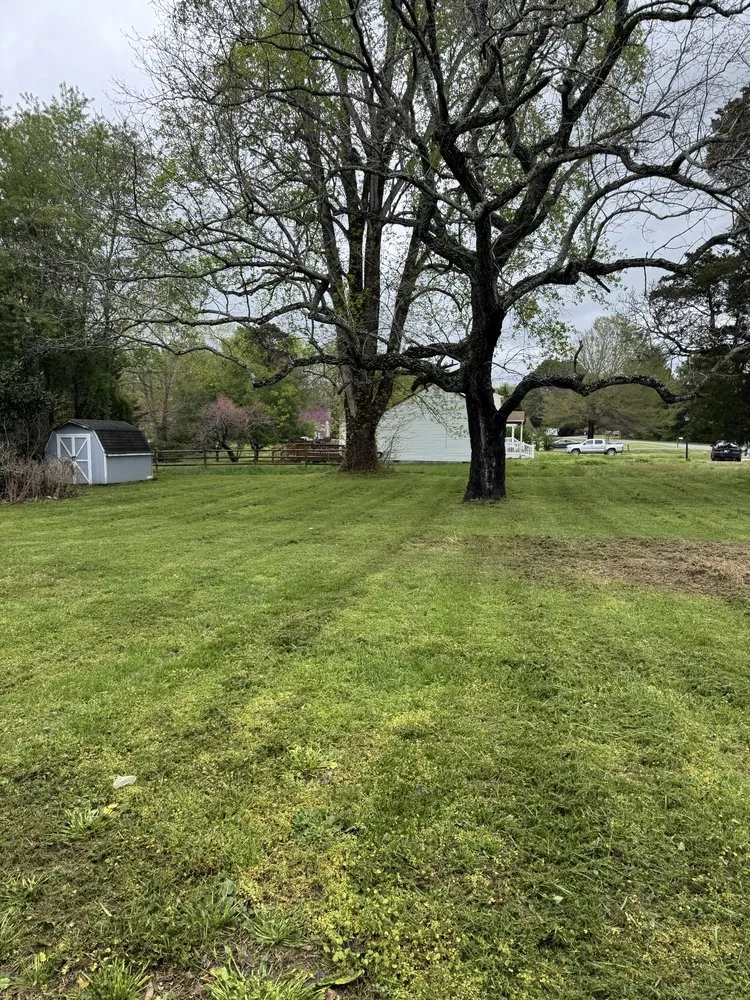 Local lawn care service near you in Gloucester, VA by Mow Money
