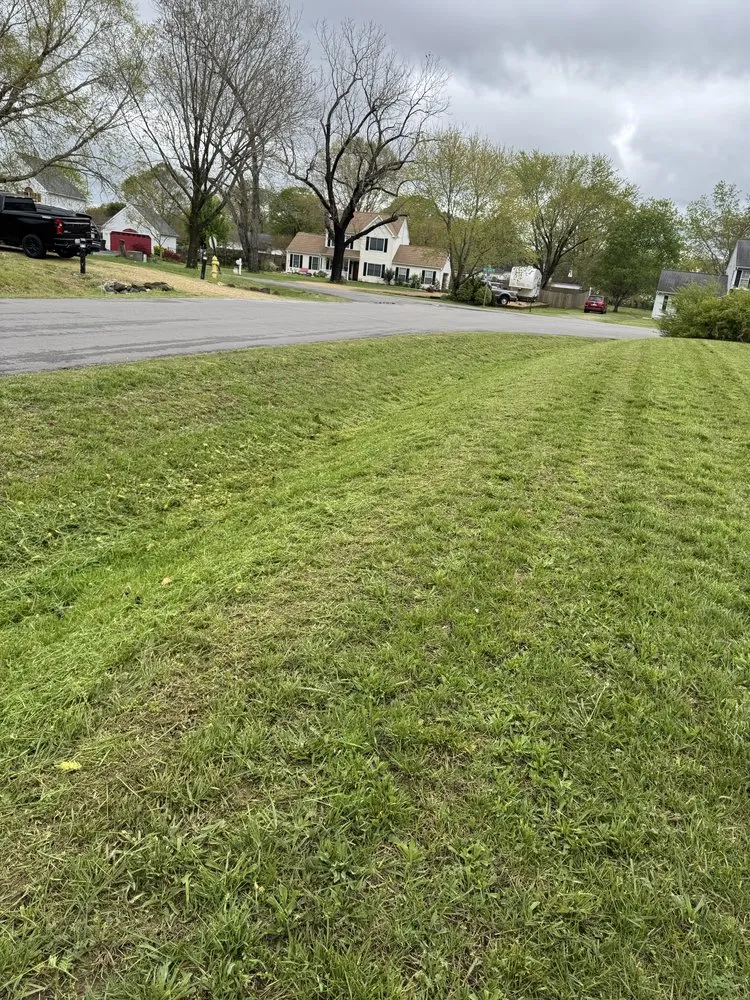 Reliable yard maintenance experts serving Gloucester, VA - Mow Money