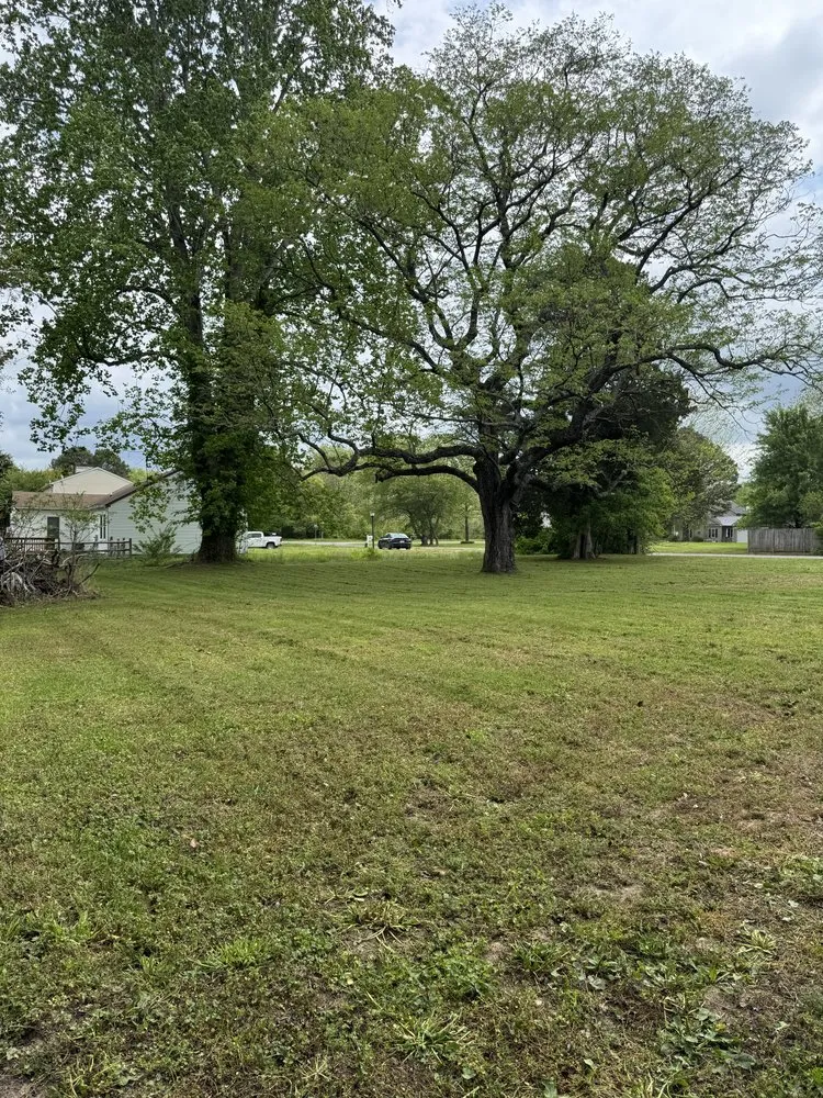 Reliable residential landscaping for residential properties across Gloucester, VA - Mow Money