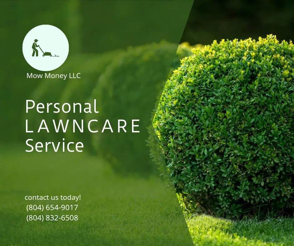 Top-rated residential landscaping for year-round maintenance in Gloucester, VA by Mow Money