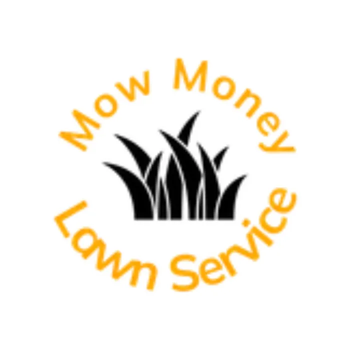 Trusted yard maintenance experts serving Lithia, FL - Mow Money Lawn Service