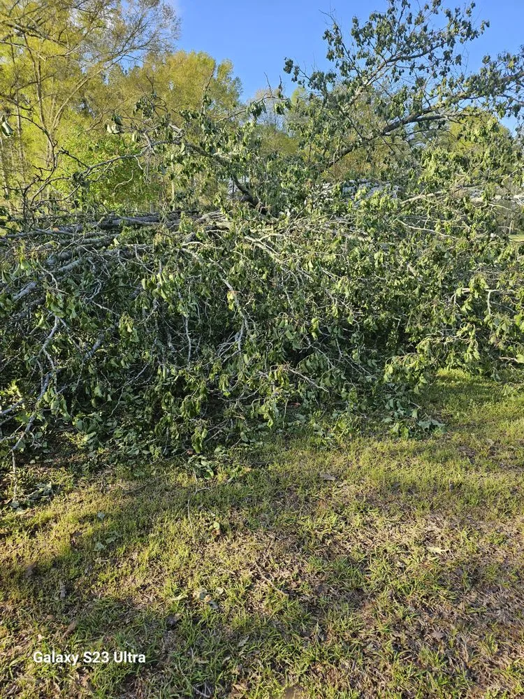 Top-rated landscaping services near you in Wesson, MS by Mow Monkey