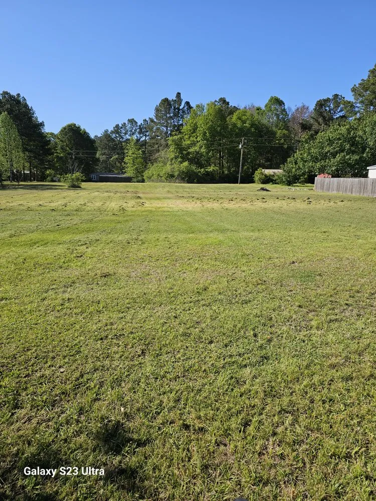 Local lawn mowing service in Wesson, MS by Mow Monkey