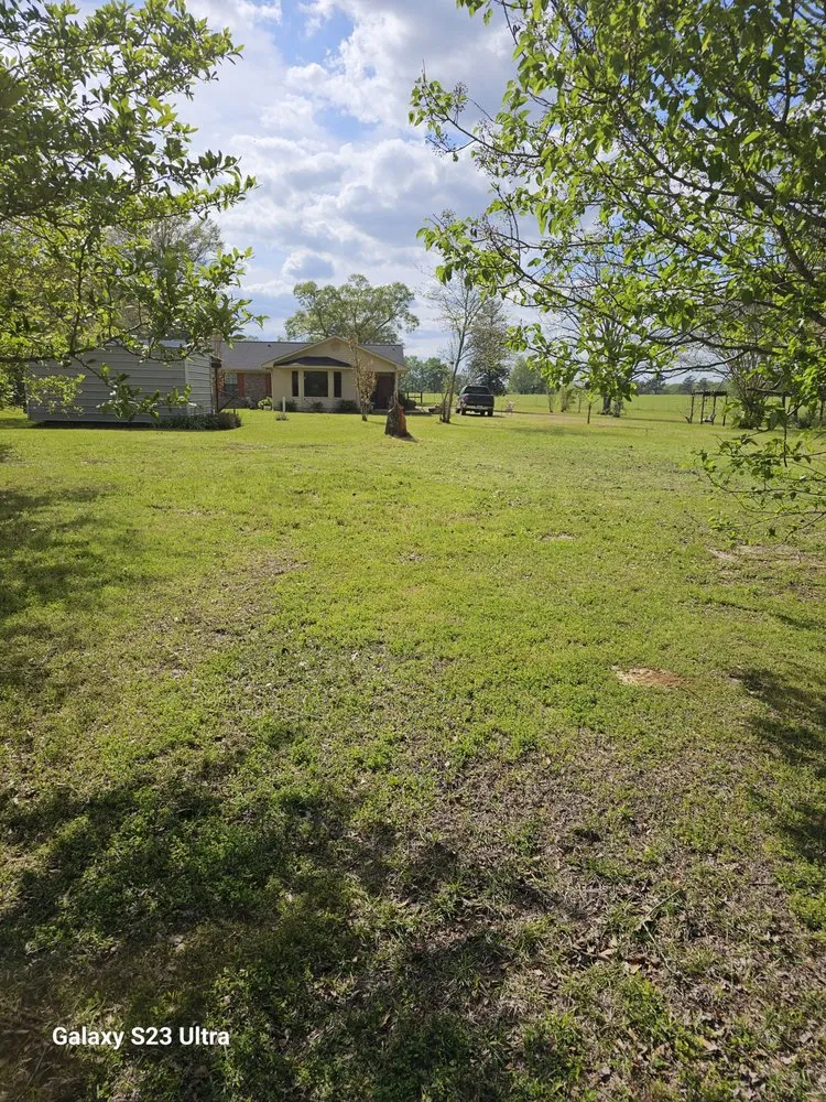 Reliable yard cleanup service with custom design across Wesson, MS - Mow Monkey