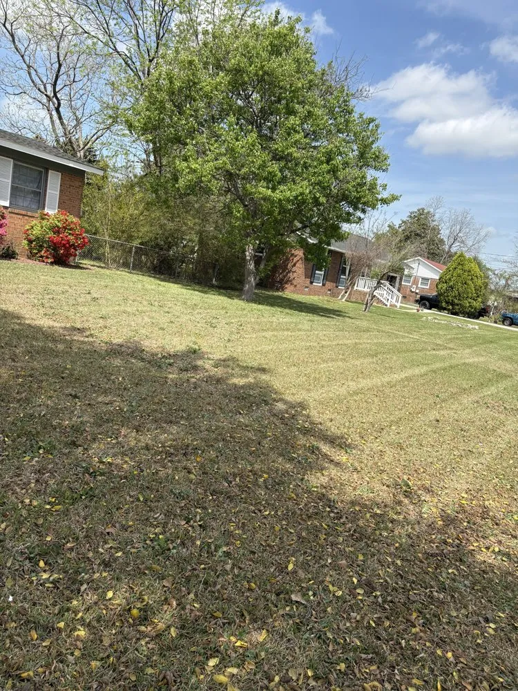 Custom yard cleanup service in Spring Lake, NC by Mow Monster Services