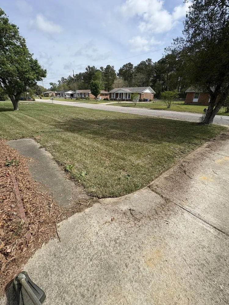 Local yard cleanup service for beautiful yards in Spring Lake, NC by Mow Monster Services