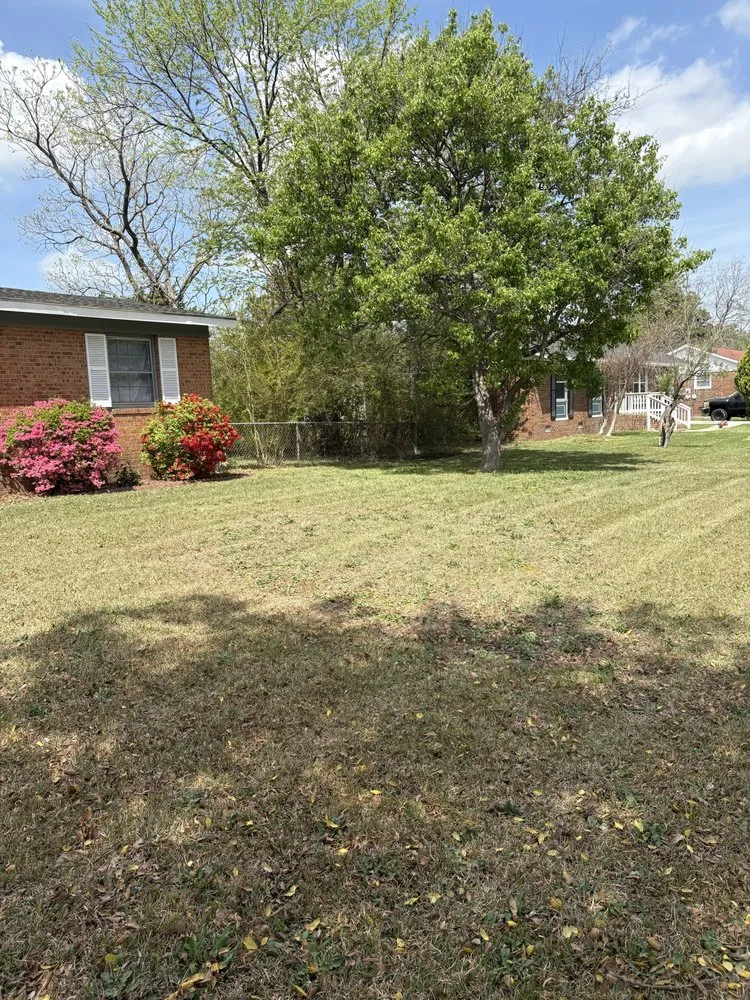 Top-rated outdoor landscaping in Spring Lake, NC by Mow Monster Services