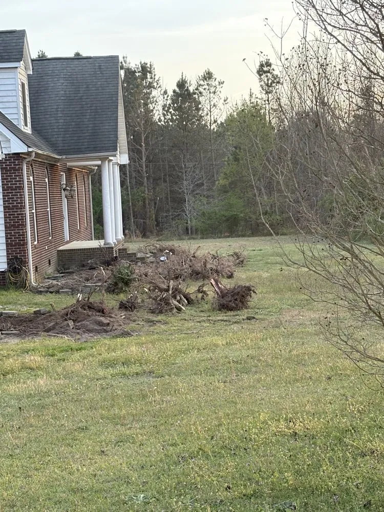 Professional landscaping services experts serving Spring Lake, NC - Mow Monster Services