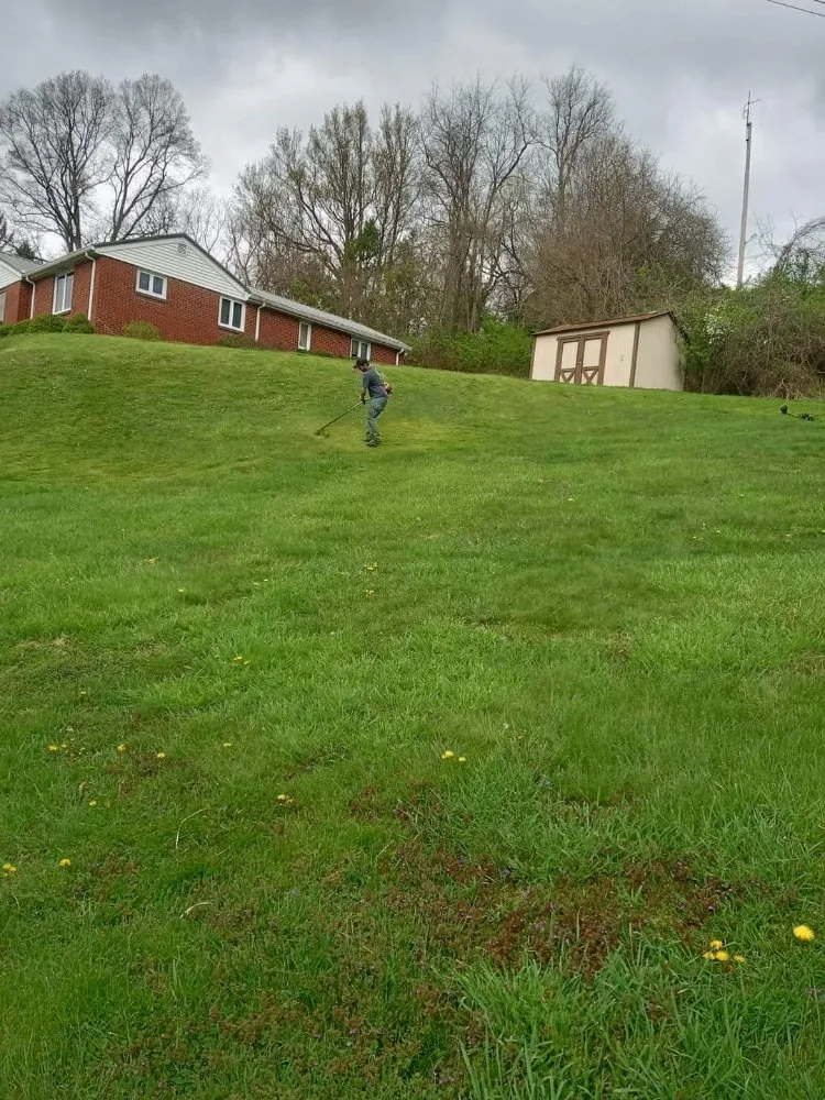 Expert yard maintenance experts serving Dilliner, PA - Mow N Go And More