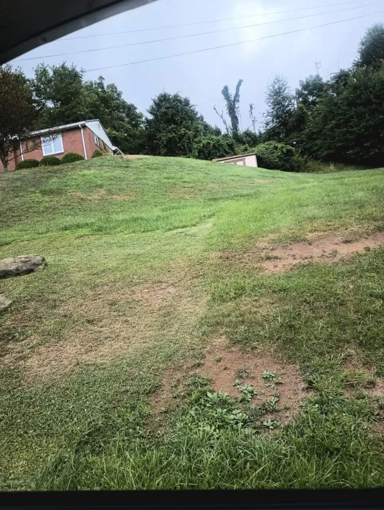 Local landscape installation experts serving Dilliner, PA - Mow N Go And More