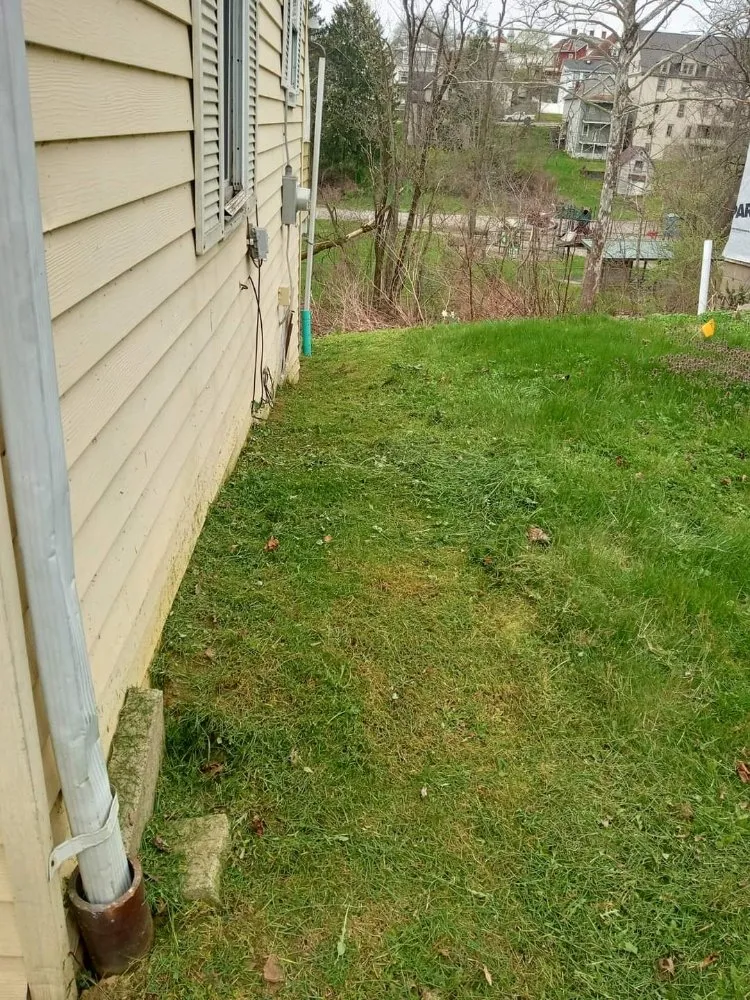 Reliable yard maintenance for beautiful yards across Dilliner, PA - Mow N Go And More