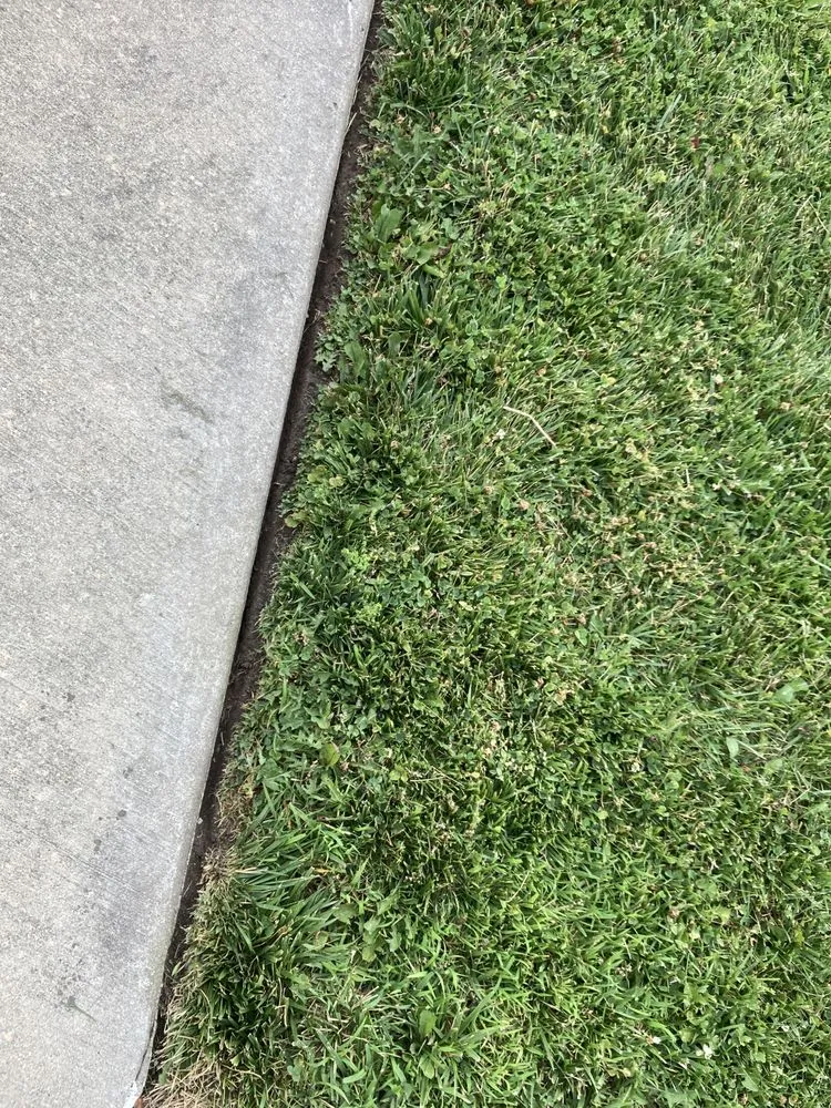 Expert lawn care service experts serving Dwight, IL - Mow N Go