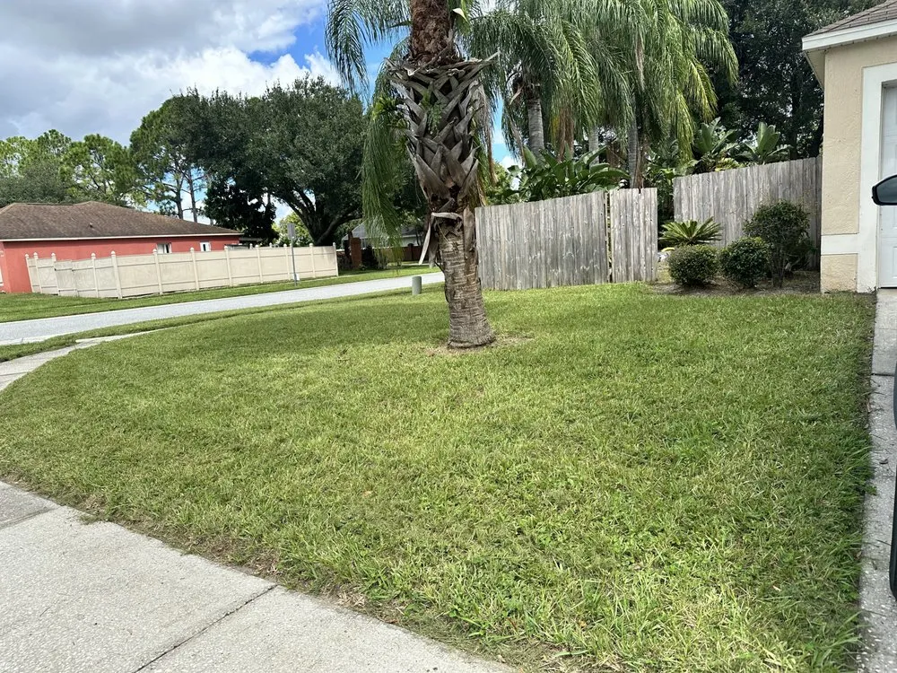 Expert landscape design in West Palm Beach, FL by Mow N Go Landscaping