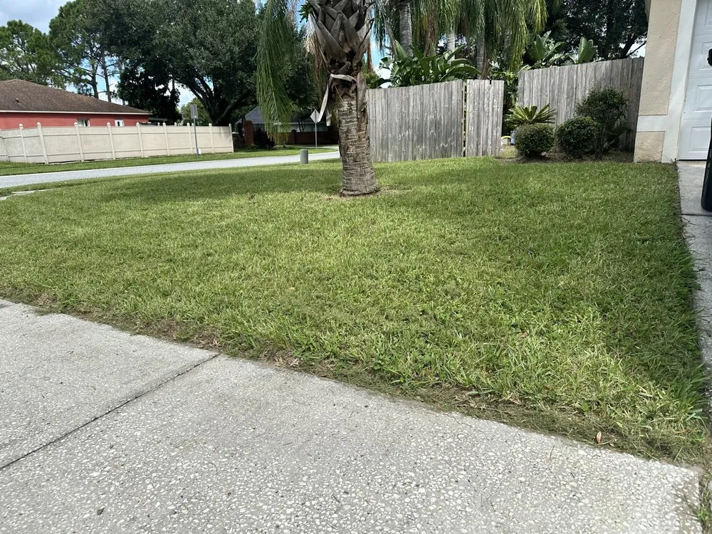 Custom landscape installation experts serving West Palm Beach, FL - Mow N Go Landscaping