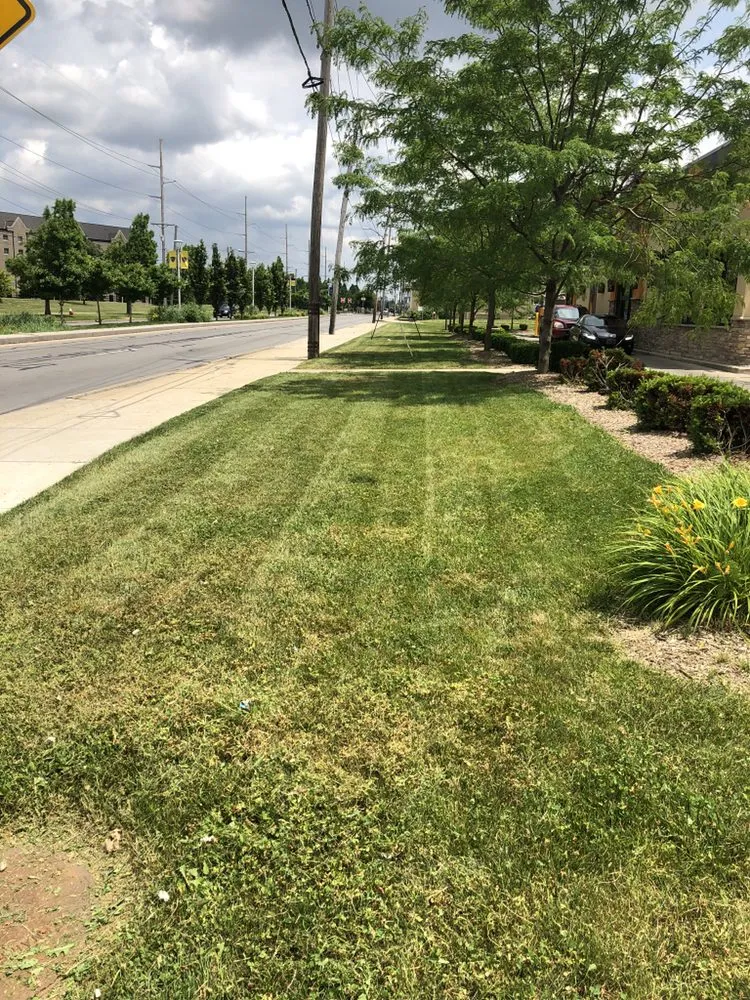 Affordable residential landscaping in Columbus, OH by Mow 'N' Go Lawn Care