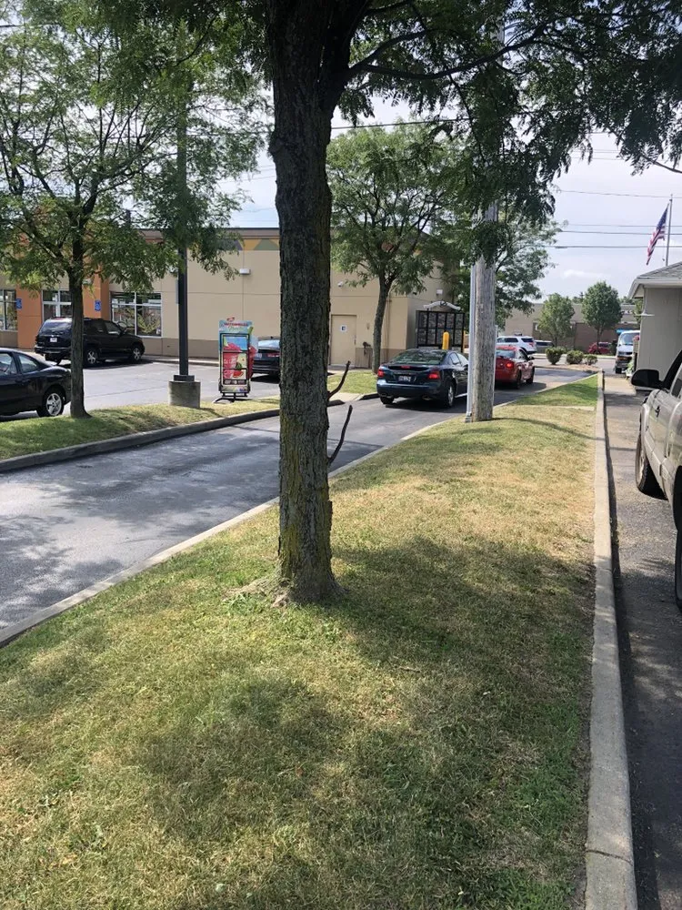 Local landscape installation in Columbus, OH - Mow 'N' Go Lawn Care