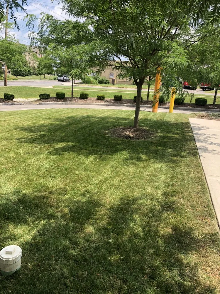 Top-rated landscape installation for year-round maintenance in Columbus, OH by Mow 'N' Go Lawn Care