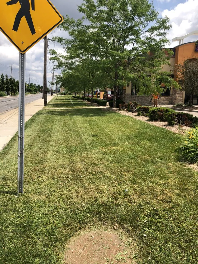 Reliable yard cleanup service near you in Columbus, OH by Mow 'N' Go Lawn Care