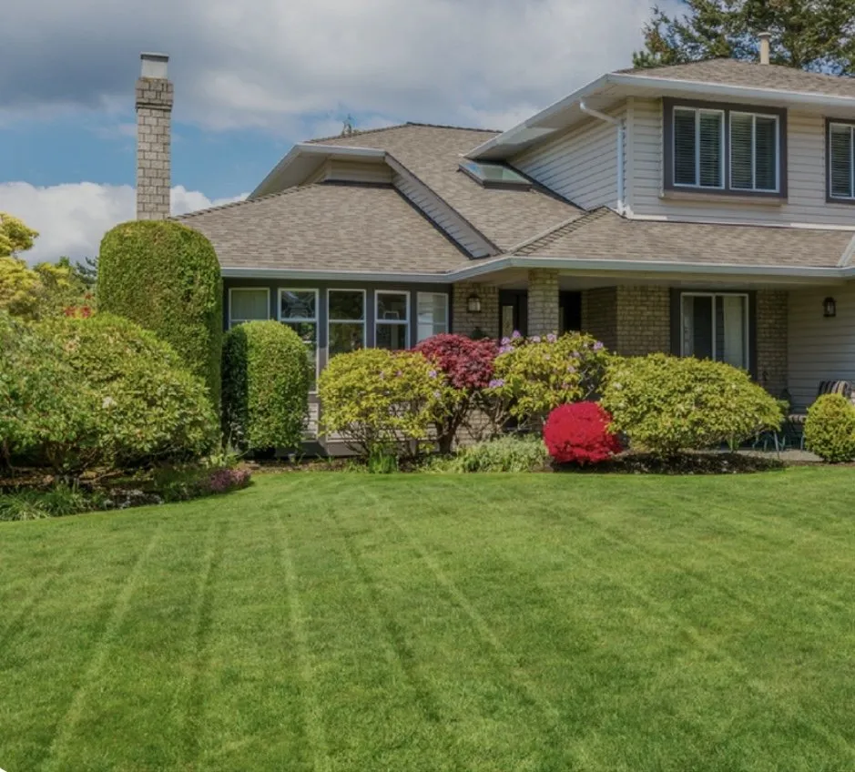Trusted lawn care service in Spokane Valley, WA - Mow-N-Go
