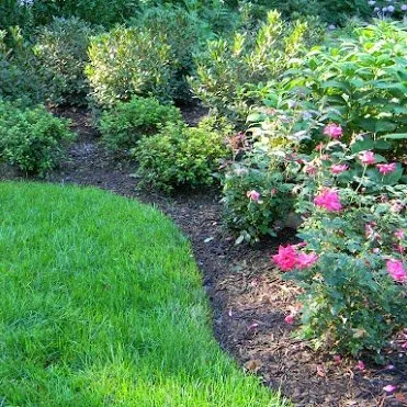 Local lawn care service in Glens Falls, NY by Mow 'N' Goers