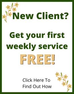 Trusted lawn care service in Carlisle, MA by Mow 'n Grow Landscape