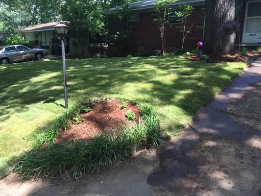 Mow-N-Grow Lawn Service & Landscaping