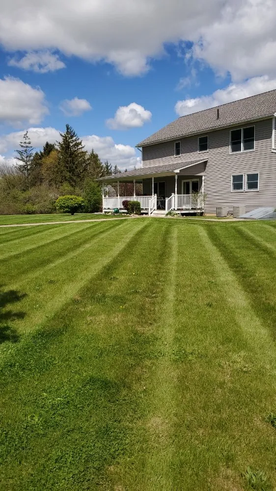 Reliable residential landscaping for year-round maintenance in Symsonia, KY by Mow-N-More