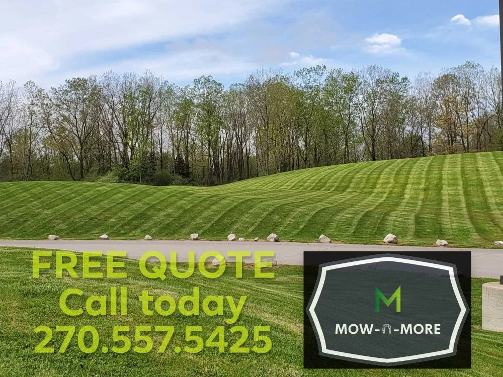 Professional landscape installation for year-round maintenance in Symsonia, KY by Mow-N-More