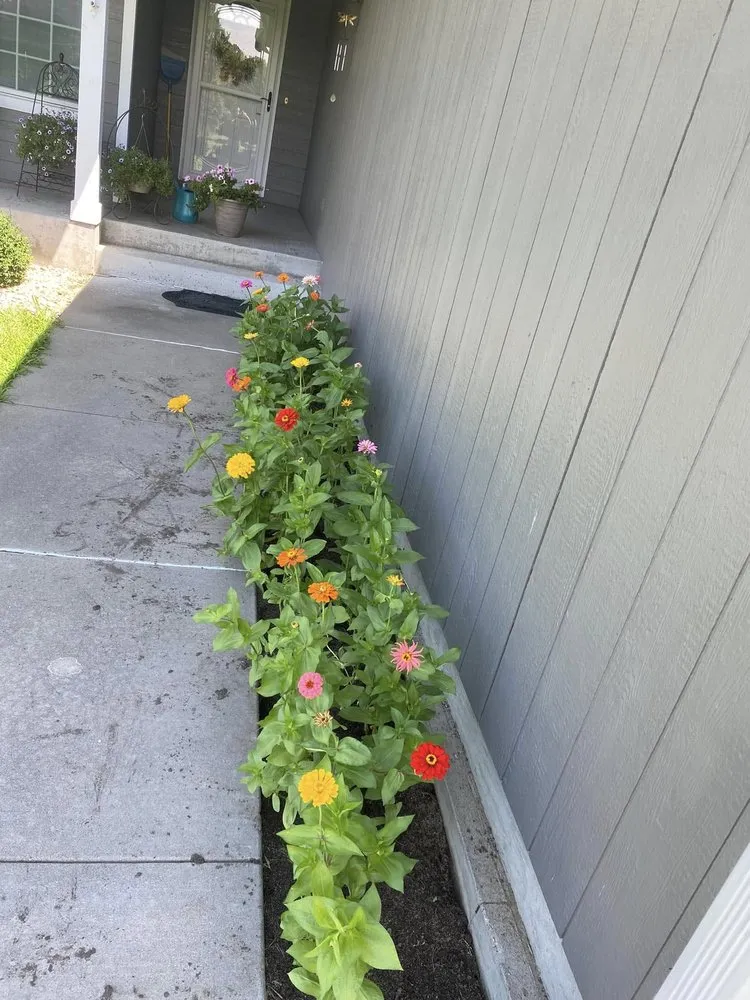 Expert landscape design experts serving Topeka, KS - Mow N More