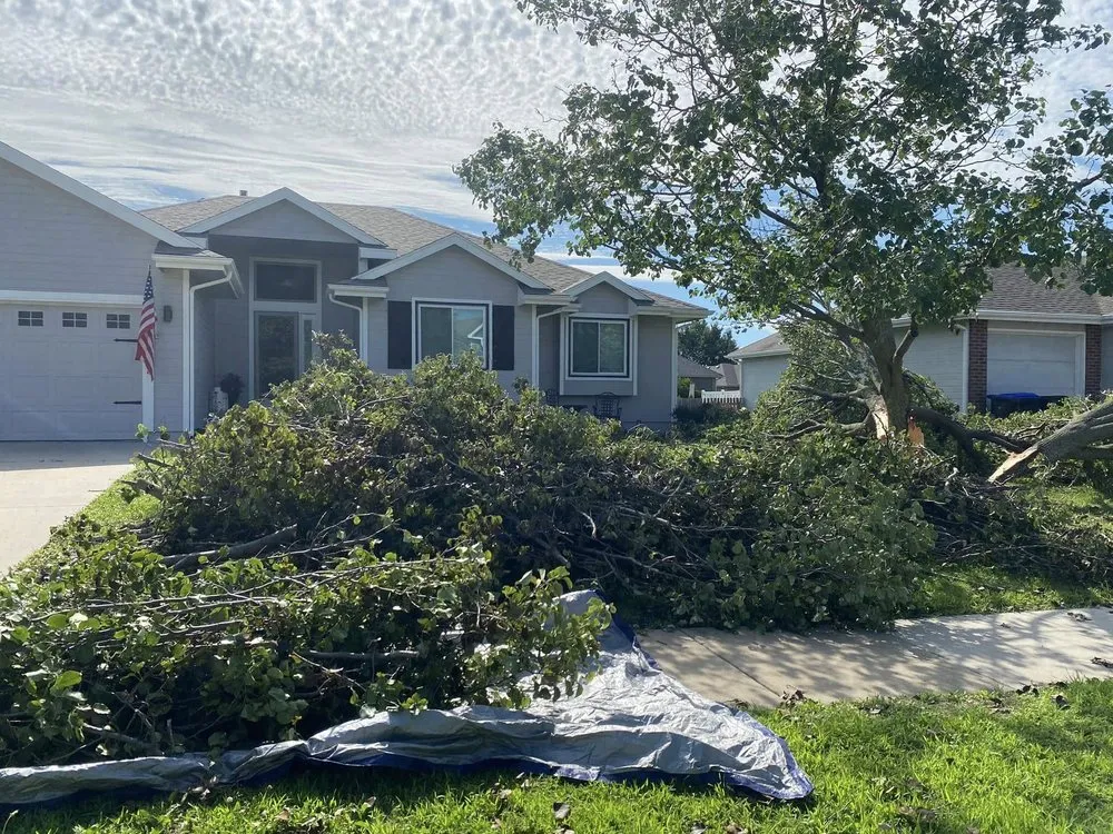 Expert lawn care service for year-round maintenance across Topeka, KS - Mow N More