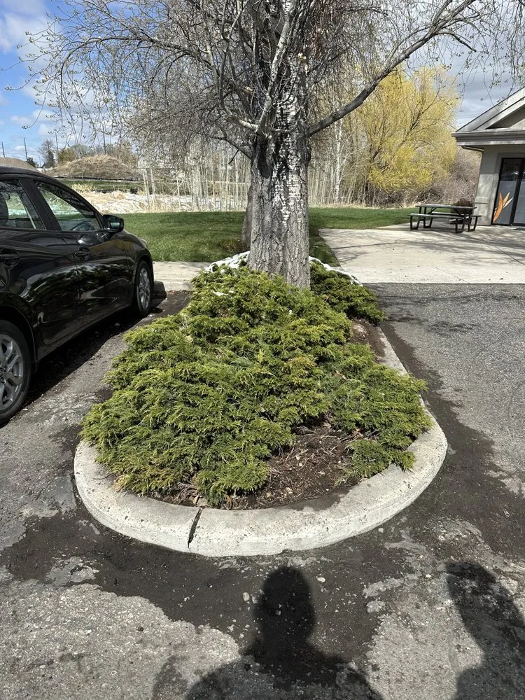 Professional landscape installation for homes across Bozeman, MT - Mow ‘n Snow