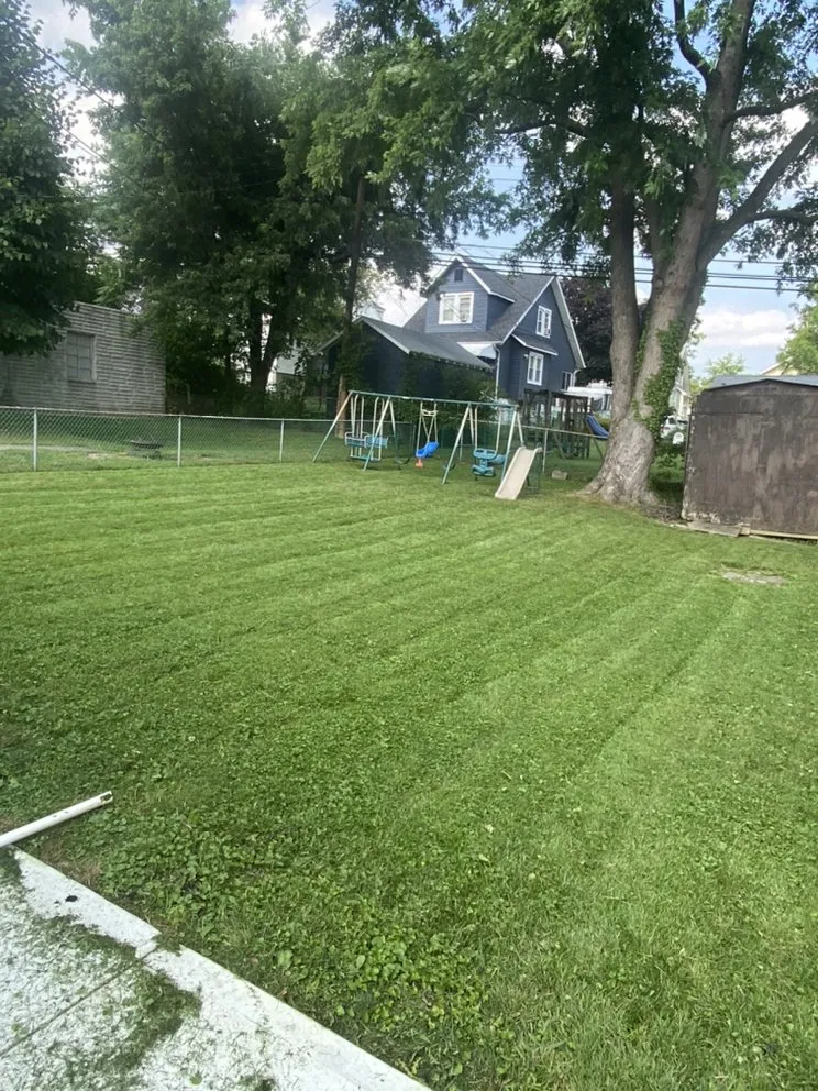 Professional lawn care service in Dundalk, MD by Mow N’ Trim’s Lawn Service