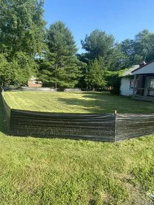 Mow N’ Trim’s Lawn Service Logo