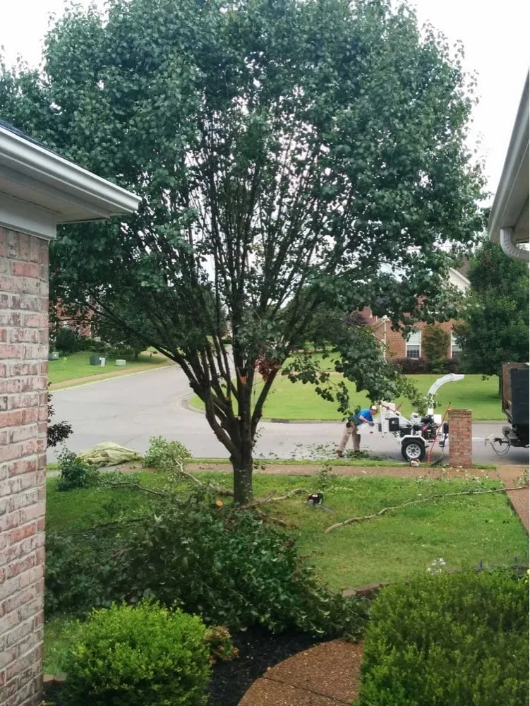 Top-rated landscape installation for outdoor upgrades in Nashville, TN by Mow Nashville Tree Service