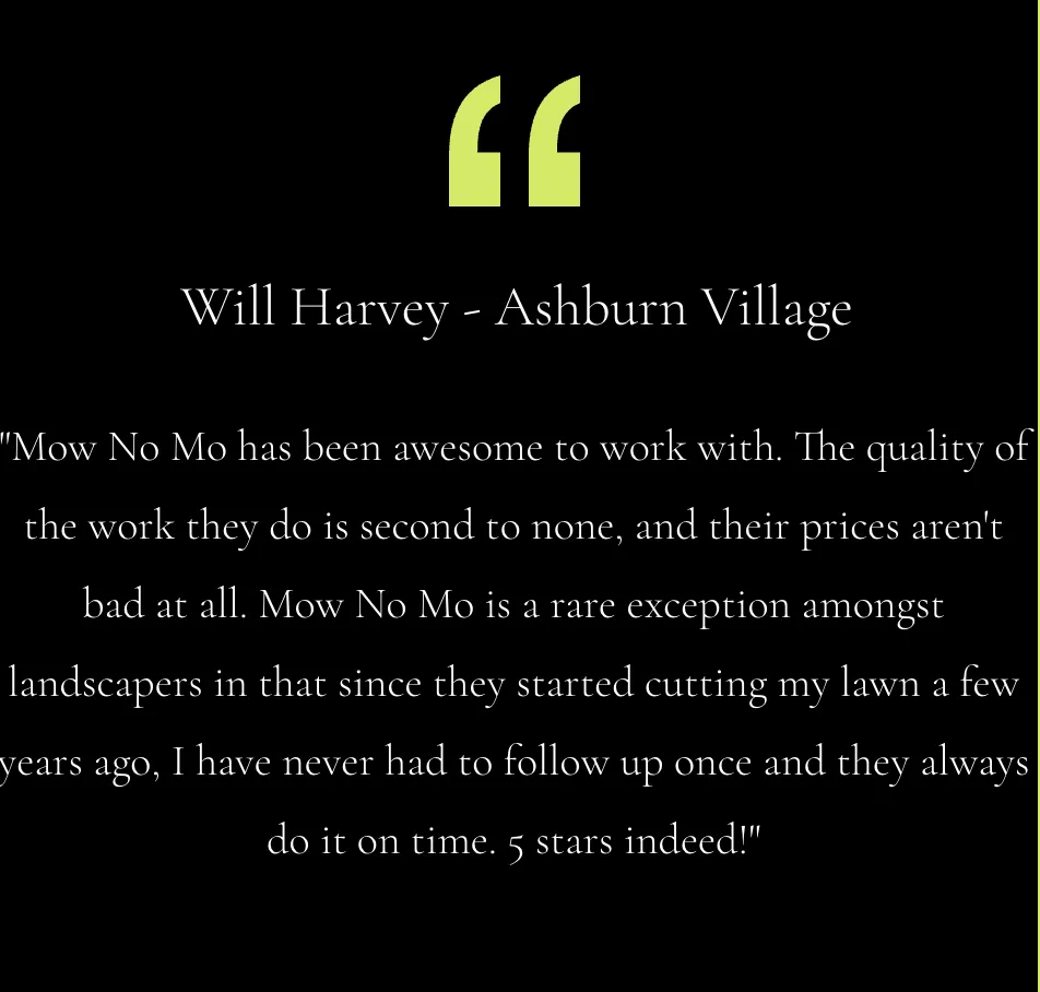 Affordable yard cleanup service for homes in Ashburn, VA by Mow No Mo