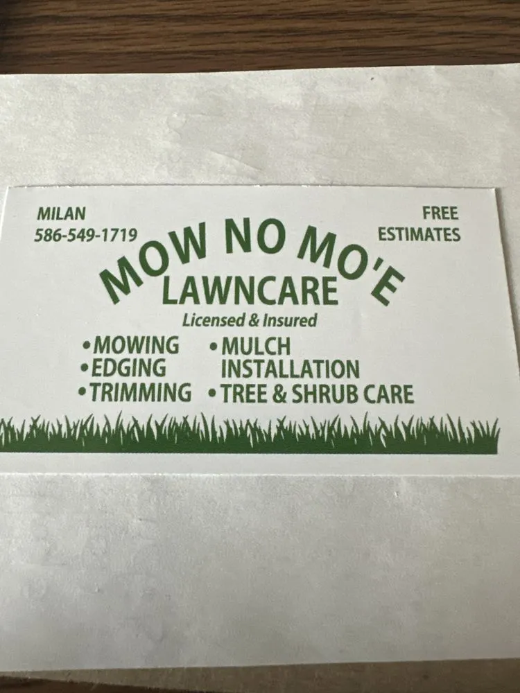 Reliable outdoor landscaping in Roseville, MI - MOW NO MO'E LAWNCARE