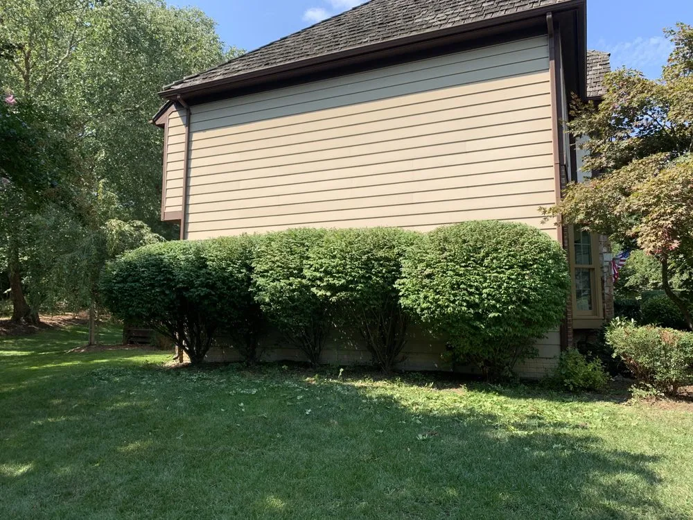 Expert yard maintenance near you in Springfield, VA by Mow Nova