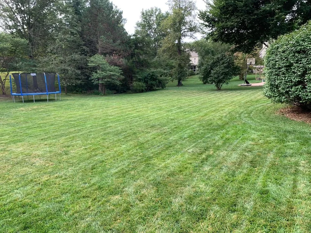 Professional yard maintenance in Springfield, VA - Mow Nova