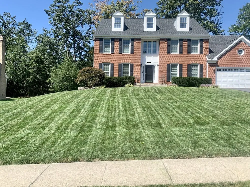 Expert garden landscaping with custom design across Springfield, VA - Mow Nova