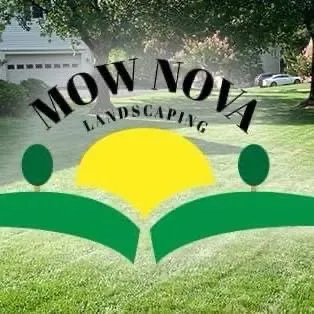Custom yard cleanup service in Springfield, VA - Mow Nova