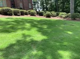 Reliable landscape design in Milwaukee, WI - Mow Patrol