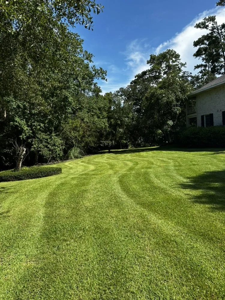 Trusted yard cleanup service for year-round maintenance across Slidell, LA - MOW-PRO Landscaping & Maintenance