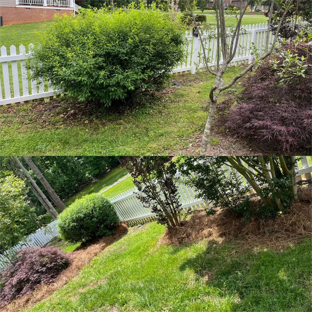 Local outdoor landscaping experts serving Salisbury, NC - Mow Pro