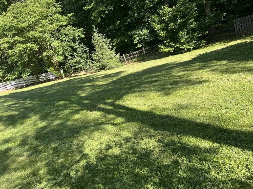 Reliable landscape design in Salisbury, NC by Mow Pro