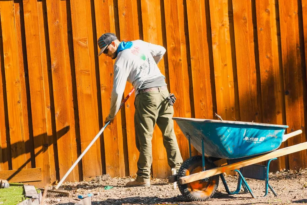 Top-rated yard cleanup service in Ennis, TX by Mow Pro's