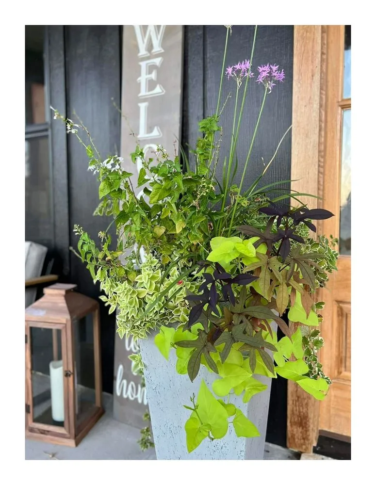 Trusted yard cleanup service for residential properties in Ennis, TX by Mow Pro's